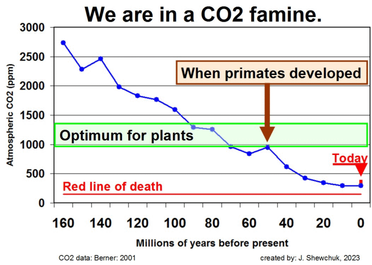 CO2 Elintäkeä kaasu